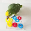 Other Bird Supplies Acrylic Parrot Training Tools Toys Educational For Small To Medium Size Parrots