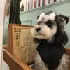 Presilha de cabelo hipster para animais de estimação adorável designer de moda grampo de cabelo para animais de estimação schnauzer pelúcia gato persa presilha de estimação