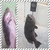 Yemler Teknik Black Minnow Jig Kafa Balıkçılık Yem Yumuşak Pike Cazisi bas balıkçılık