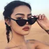 2023 Vintage Triangle Cat Eye Women Sunglasses Personality PC Frame Resin Lens Travel Eyewear Girls Cute Small Frame Goggles