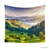 Tapeçarias Sol Floresta Tapeçaria Manhã Árvores Verdes Floresta Gramíneas Misty Paisagem Natural Grande Decoração de Suspensão de Parede para Quarto Dormitório