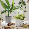 Fleurs décoratives 5 pièces treillis de plantes d'intérieur application large de haute qualité pour les petites plantes légumes en pot