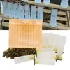 Autres fournitures pour animaux de compagnie Ensemble d'outils d'apiculture Système d'élevage de reines Culture de tasses de cellules de boîte Abeille Nicot Complète Catcher Cage Equip 230707