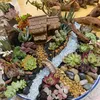 水族館水族館水槽lanscape bonsai boat rockery pavilion飾り飾り飾り飾りミニチュア妖精ガーデンハウスの家の装飾