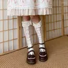 Women Socks Punching White Lace Medium Bucket Stocks Princess Ribbon Women's Thin Legs For
