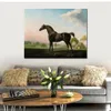 Classical Countryside Canvas Art Lord Grosvenors Sweet William in A Landscape George Stubbs Painting Horse Handmade High Quality