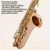 Bb tenor saxophone beginner professional exam performance phosphor bronze tenor instrument SAX