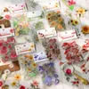 Adhesive Stickers 40 pcsbag Plant Nature Flower Decorative PVC Sticker Scrapbooking diy Label Diary Stationery Album Journal Daisy mushroom Stick 230707