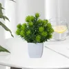 Decorative Flowers Fashion Potted Grass Simulated Artificial Green Plant Anti-Fade No Trimming Bonsai Ornaments