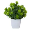 Decorative Flowers Fashion Potted Grass Simulated Artificial Green Plant Anti-Fade No Trimming Bonsai Ornaments