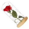装飾花魅惑的な赤いシルクローズライトはガラスドームに保存 LED ロマンチックなギフト結婚記念日
