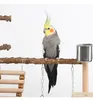 Bird Parrots Playstand Birdcage Play Gym Wood Bird Exercise Playground Large Parrot Perch Stand with Chewing Bell Toys Bird Feeding Cups Ladder Hanging Swing