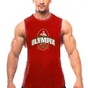 Herren Tank Tops Sommer Mesh Gym Top Männer Lose Quick Dry Fitness Ärmelloses Shirt Bodybuilding Workout Kleidung O-ansatz Sport Unterhemden