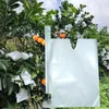 Altri attrezzi da giardino 100PCS Sacchetti di carta per la protezione della frutta per l'uva da pesca contro il sacchetto per insetti Controllo dei parassiti impermeabile 230707