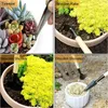 Altri attrezzi da giardino 13 pezzi Kit fioriera Semina fai-da-te Pala Paletta Secchio Cucchiaio Piantine di piante grasse Strumento Bonsai Fertilizzante Dispositivo di perforazione 230710