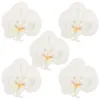 Dekoracyjne kwiaty 5 sztuk Phalaenopsis głowy rzemiosło mały sztuczny kwiat luzem biały sztuczny Mini storczyki dekoracja