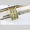 Högkvalitativ Bb B platt trumpet MTR-500G instrument, fosforbrons i ett horn, med hårt fodral, munstycke, tyg och handskar