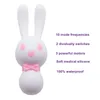 Vibromasseurs 10 vitesses USB charge lapin oeufs vibrants point G mamelon stimulateur de clitoris Massage vibrateur Masturbation jouets sexuels pour adultes A3 230710