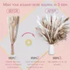 Home Decor Decoration Dried Bunny Tail Pampas Grass Dried Flowers Bouquet Boho Bouquet Preserved Eucalyptus Ruscus Reed Pampas Fluffy Bouquets