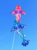 Accessoires de cerf-volant poissons cerfs-volants géants pour adultes vents professionnels tissu ripstop volant jouets de plein air koi 230711