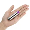 Vibrators Vibrating Panties 10 Function Wireless Remote Control Charging Bullet Vibrator Strap on Underwear Vibrator for Women Sex Toy 230710