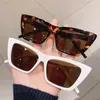 Gafas de sol Vintage Cat Eye Mujer Moda Leopardo negro Gafas de sol de alta calidad Mujer Street Beat Lunette De Soleil Femme