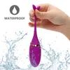 Vibromasseurs 10 vitesses Vibromasseurs télécommandés sans fil Oeuf vibrant USB Kegel Balls Charge Sex Toys pour femmes G-spot Massage Masturbation 230710