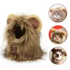 Chat Costumes Costume Cosplay drôle coiffure Lion petit chien chapeau animal de compagnie fantaisie chiens chaton chiot avec oreilles accessoires