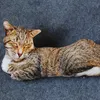 Plush Dolls 50cm LifeLike Plush Cat Pillow محشو ثلاثي الأبعاد بطبعة حيوان رمي هدية الديكور المنزل للسيارة 230711