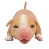 Muñecas IVITA 18 cm 100 Muñeca de perro Reborn de silicona completa con ojos Suave Realista Coleccionable Arte Juguetes para niños Regalo de Navidad 230710