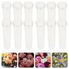 Decorative Flowers 50pcs Clear Vases For Large Flower Water Tubes Container Florist Supplies Milkweed Stem Cuttings Arrangements