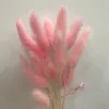 Decoratieve Bloemen Echt Droge Bloem Roze Pak Een Cadeau Voor Liefhebbers Kleine Pampas Flores Staarten Riet Gras Thuis Bruiloft Decoratie Gratis