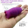 Jouets pour adultes Charge USB Oeufs d'amour Sucer la langue Vibromasseur Nipple Sucker Masseur corporel Stimuler la poitrine Agrandir Marchandises pour adultes Sex Toys pour femmes 230710