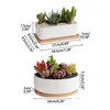 Planters Pots Simple Succents White Porcelain Flower Round Rectangar Refreshing Ceramic Balcony Green Planting Home Garden Pot Dro Dhnij