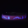 Dog Collars USB Rechargeable LED LIGHT Nylon Silicone Collar 8 Color Changing 15 Modes Flash China Pet Products