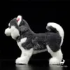 Bambole di peluche Alaskan Malamute Anime Cute Plushie Giocattoli per cani Animali realistici Simulazione Bambola di pezza Kawai Toy Regali Bambini 230711