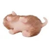 Plüschpuppen, weiches Silikon, Katzenpuppe, Mini-Simulationsspielzeug, Baby, Kinderspielzeug, handverwurzeltes Haar, Körper, Tiergeschenke 230711