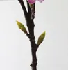 Fiori decorativi 1PC Seta artificiale di fiori di ciliegio per la composizione floreale domestica fai-da-te Ramo Materiale Festival Negozio Decorazione Piante