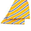 Flugor Linbaiway polyesterrandiga för manliga högtidskläder Business kostym jacquard slips herr bröllopsfest Cravat