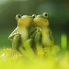 Réaliste Animal Figurine Jardin Décor Pelouse Accessoires Romantique Résine Amant Grenouille Décor Grenouilles Couple Statues L230620