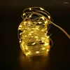 Strings Garland Wedding Lamp Copper Wire Light Bottle Stopper For Glass Craft LED Fairy String Christmas Holiday Decoration