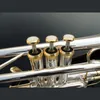 Hoogwaardige cornet Bb Bes trigger cornet Koperblazer met harde koffer, mondstuk, doek en handschoenen, verzilverd