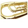 Hochwertiges B-B-Triolen-Euphonium MAS-308 Bandinstrument mit Hartschalenkoffer, Mundstück, Tuch und Handschuhen