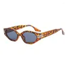 Óculos de Sol Vintage Feminino Óculos Retrô Pequeno Feminino/Masculino Óculos Leopardo Marca Designer Gafas De Sol Mujer