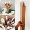 Home Decor Decoration Dried Bunny Tail Pampas Grass Dried Flowers Bouquet Boho Bouquet Preserved Eucalyptus Ruscus Reed Pampas Fluffy Bouquets