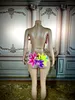 Kadın Mayo Seksi Renkli Büyük Çiçekler Şeffaf Bikini Elbise Kadın Dansçı Göster Streç Sahne Kostüm Kıyafet Akşam Balo Partisi Biniki Seti 230711