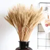 Decorative Flowers 100PCS Dried Wheat Stalks Golden Natural Sheaves Decoration Shooting