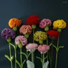 Dekorativa blommor DIY Nejlika Stickad Hand Simulering Virkad Mors Dag Bukett Present till Mamma 2023