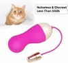 Vibratoren Lila Schwarz Bullet Toys USB-Ladevibratoren Wasserdichte drahtlose Fernbedienung Ei Erwachsenes Geschlechtsprodukt für Frauen Sexspielzeug 230710