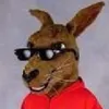 Custom kangaroo mascot costume 260s